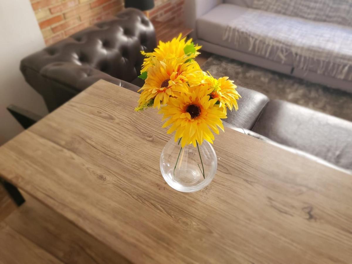 אליקאנטה Loft. Old City מראה חיצוני תמונה